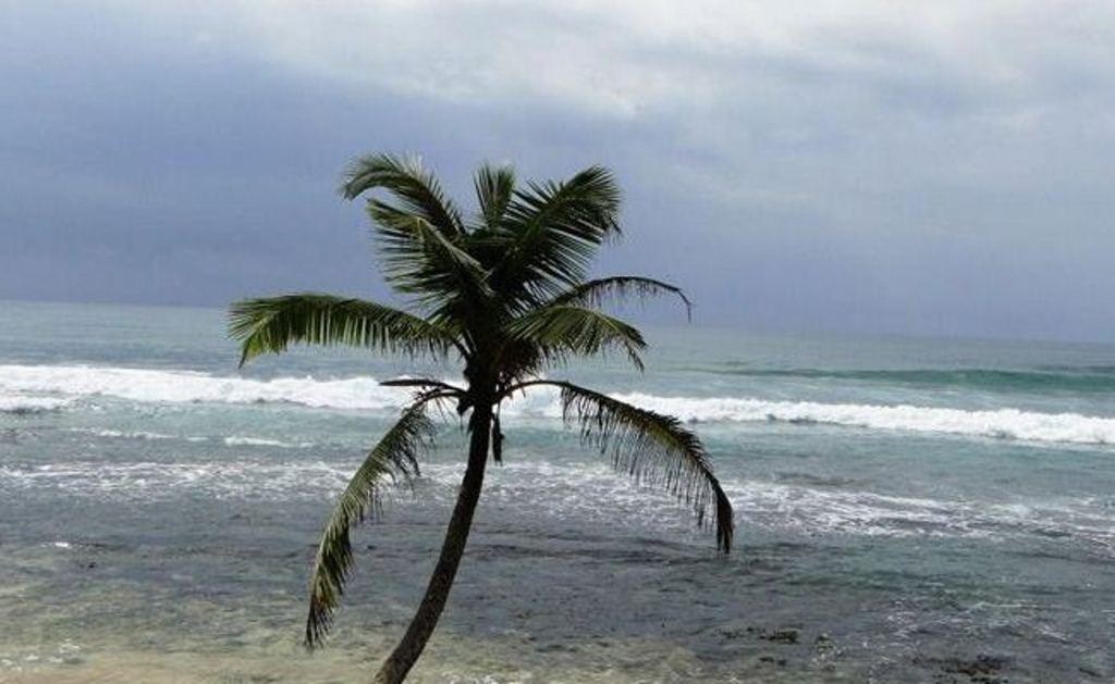 Kixi * Unawatuna
